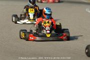 DSC_0009 (2)